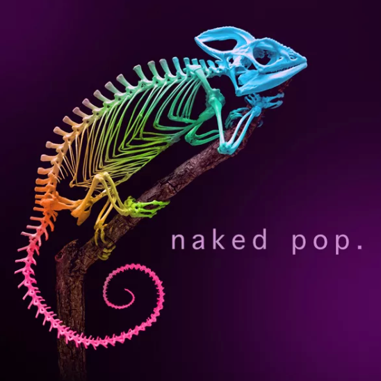 Naked Pop album artwork