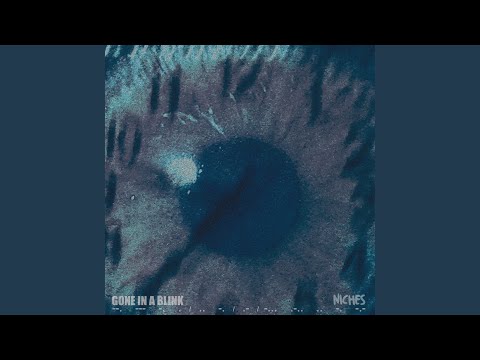 Niches — Gone in a Blink video thumbnail